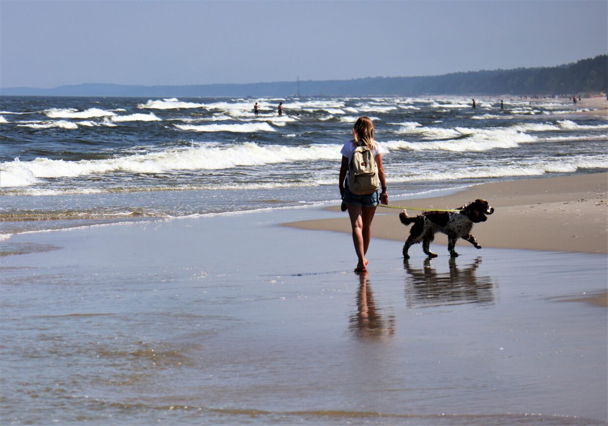 Urlaub mit Hund - Usedom