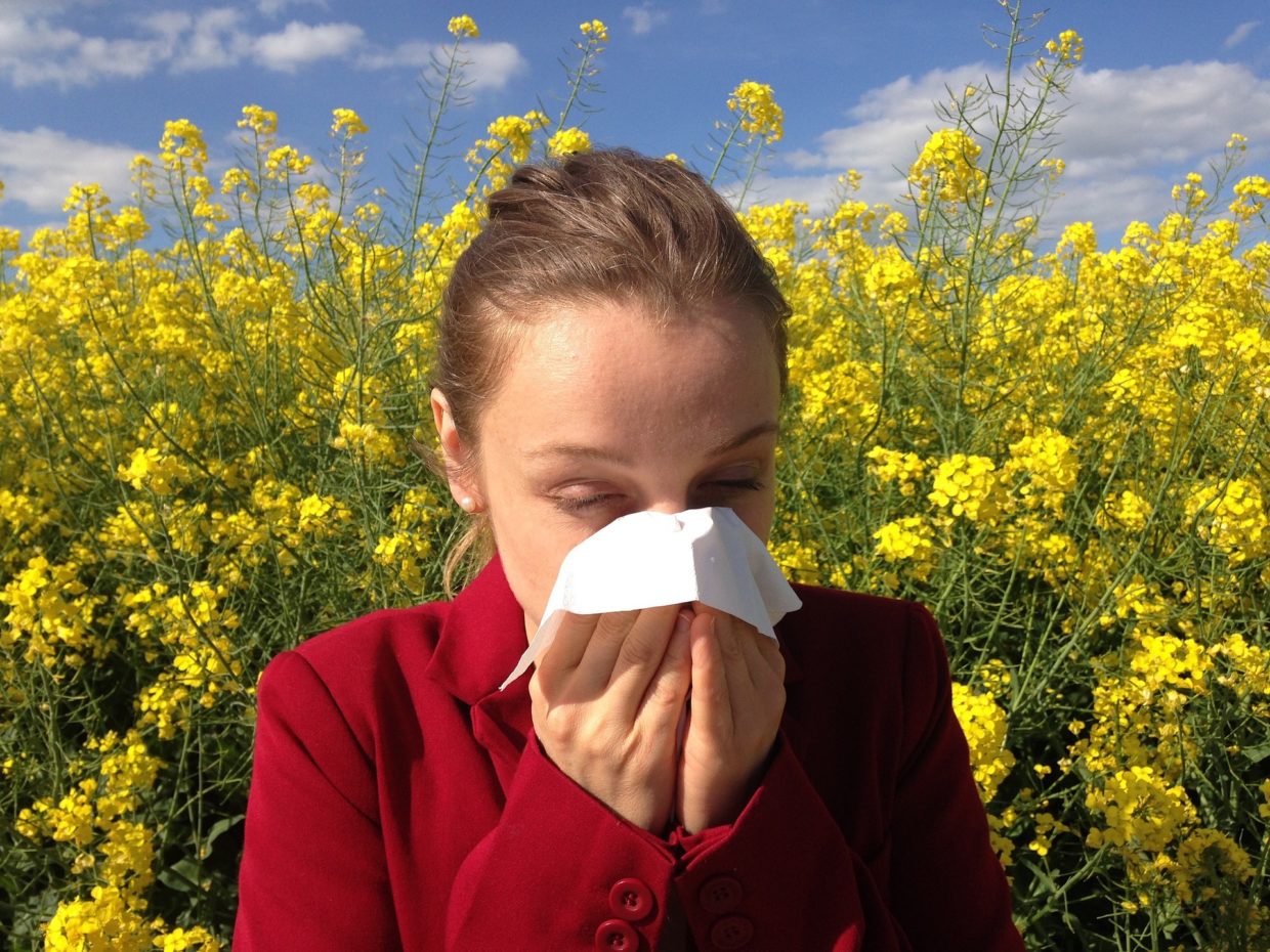 Allergie, Ferienwohnung für Allergiker in Zinnowitz, Usedom