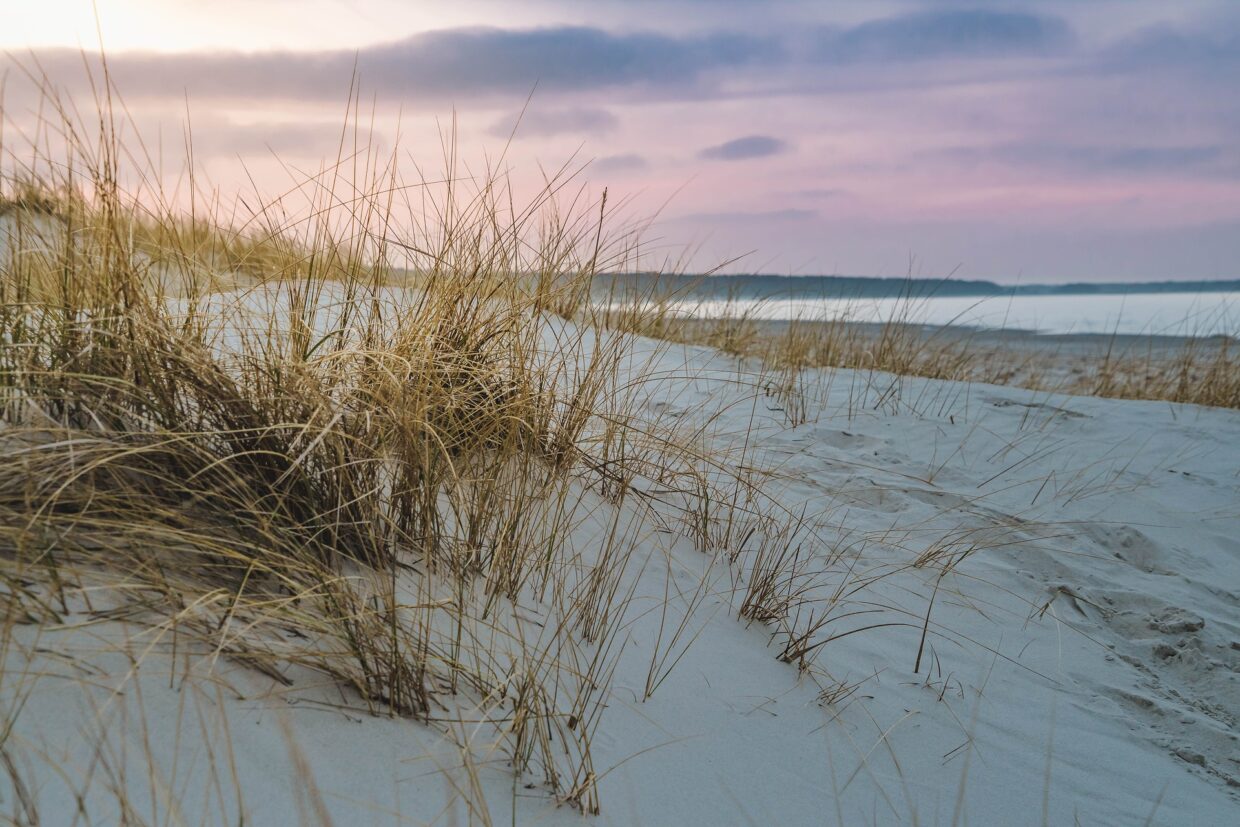 Stranddünen an der Ostsee - Urlaub auf Usedom