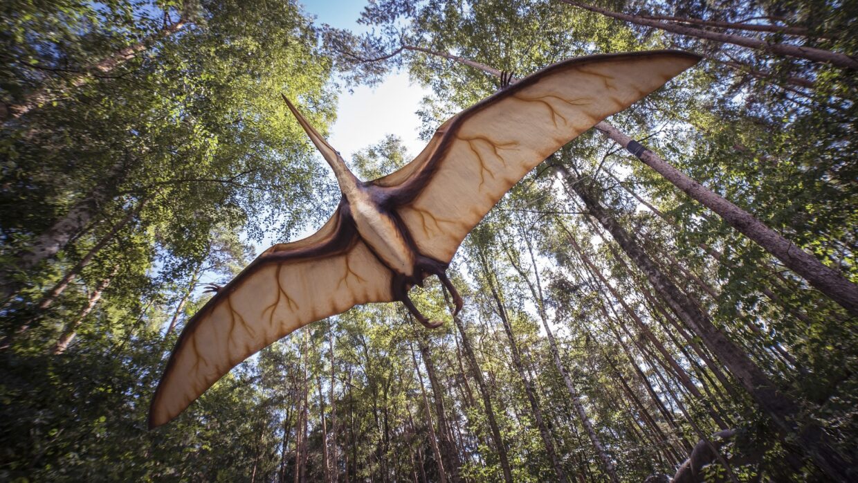 Dinosaurierpark Mölschow - Urlaub auf Usedom